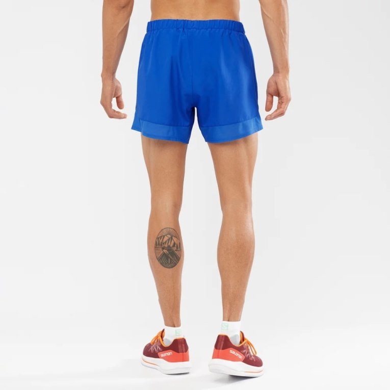 Blue Salomon Cross Rebel 5'' Men's Shorts | IE HE8641